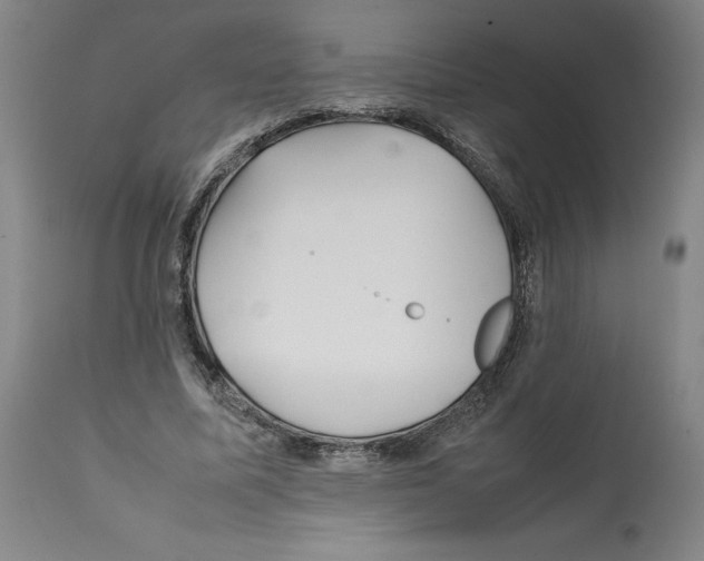 X0000112370587200909241152
