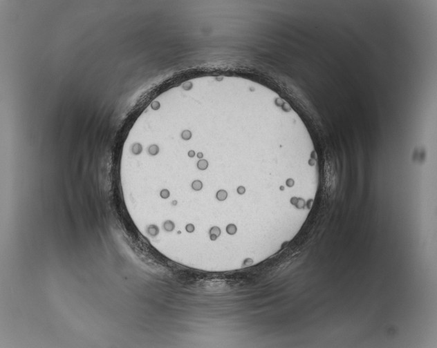 X0000112370588200909241152