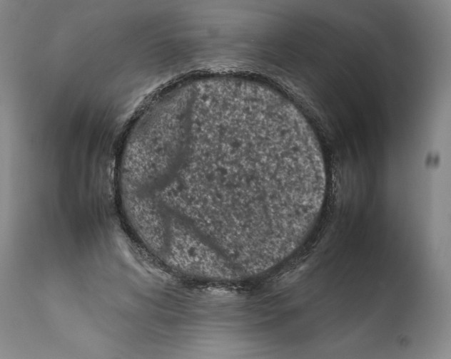 X0000112370592200909241151