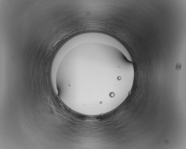 X0000112370595200909241151