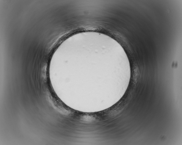 X0000112370596200909241151