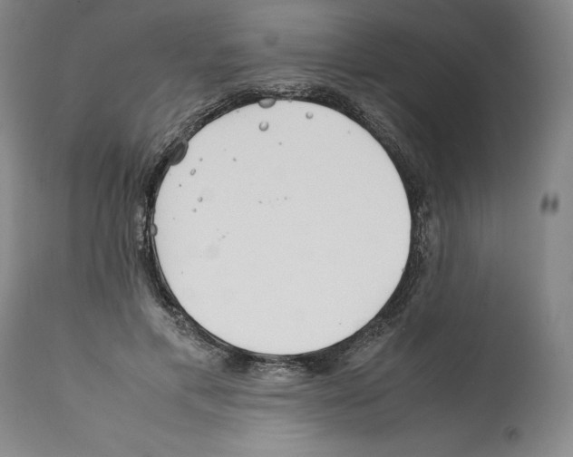 X0000112370597200909241151