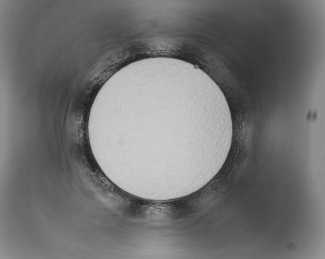 X0000112370599200909241151
