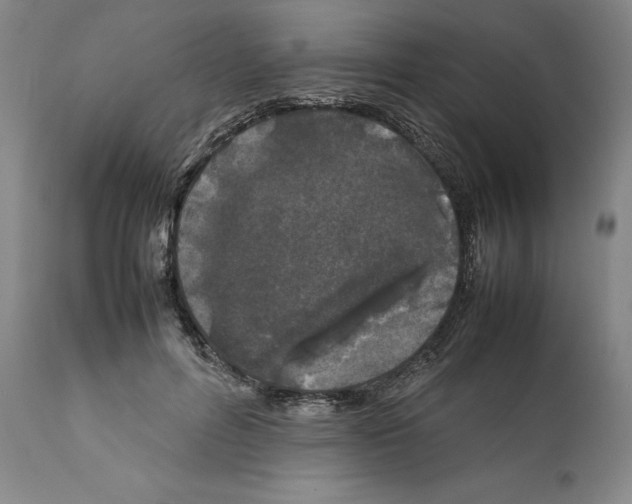 X0000112370600200909241151