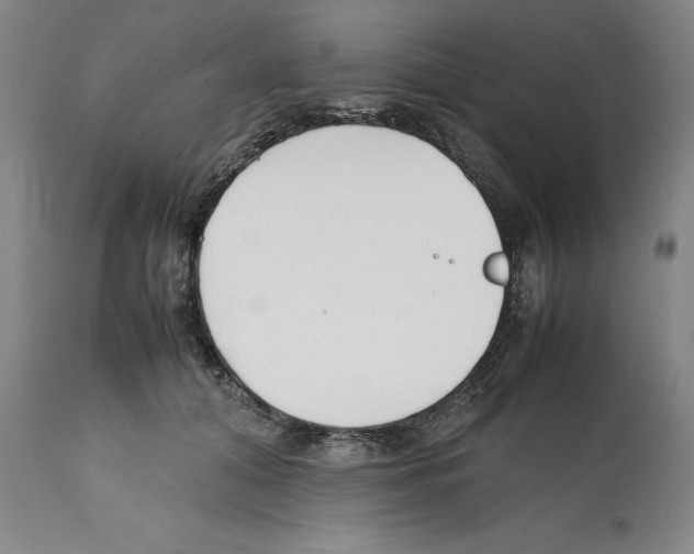 X0000112370608200909241151