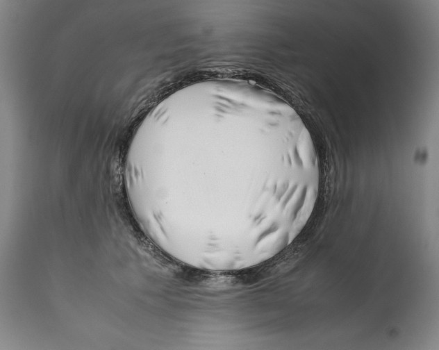 X0000112370609200909241151