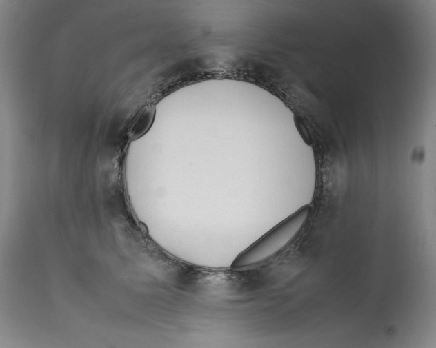 X0000112370611200909241151