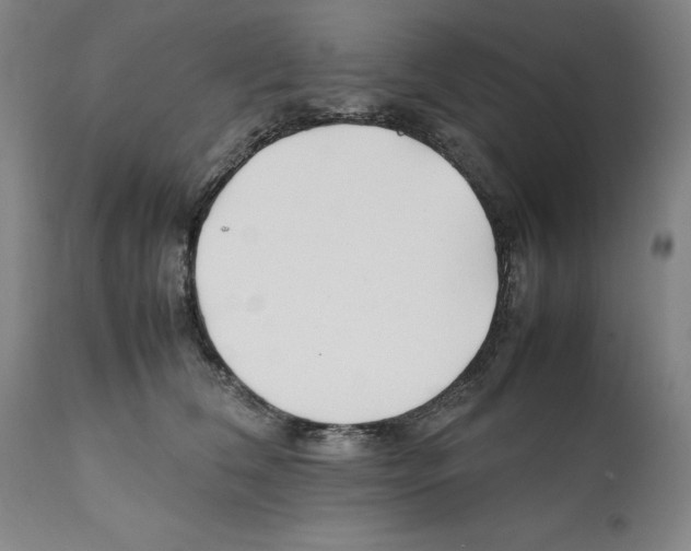 X0000112370612200909241151
