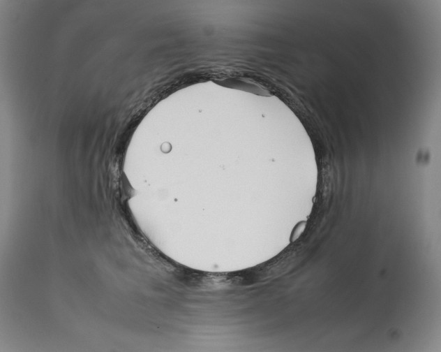 X0000112370613200909241151