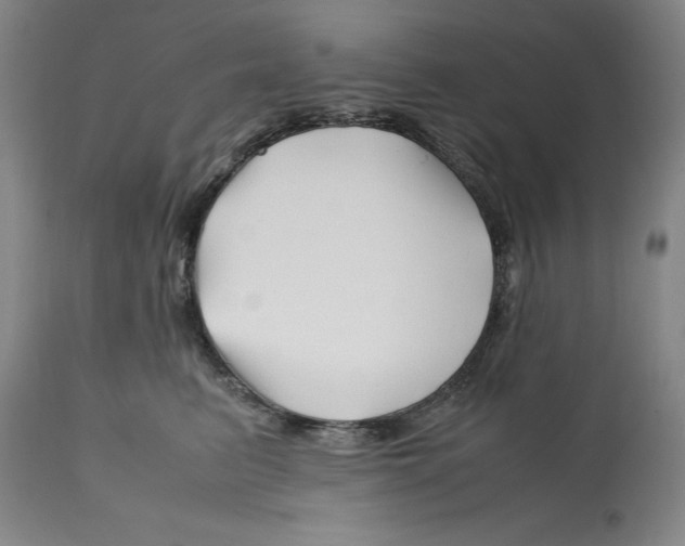 X0000112370615200909241151