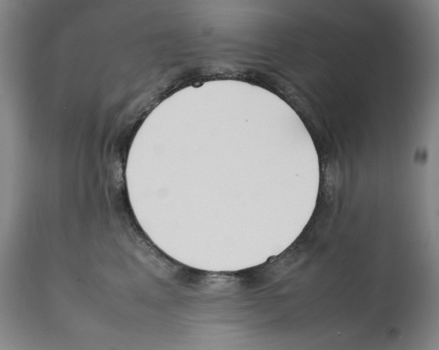 X0000112370617200909241151