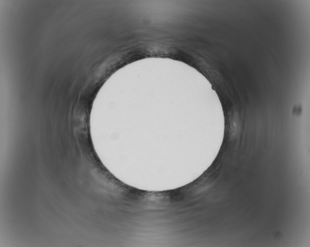 X0000112370619200909241151