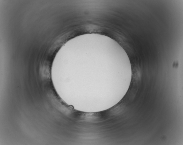 X0000112370622200909241151