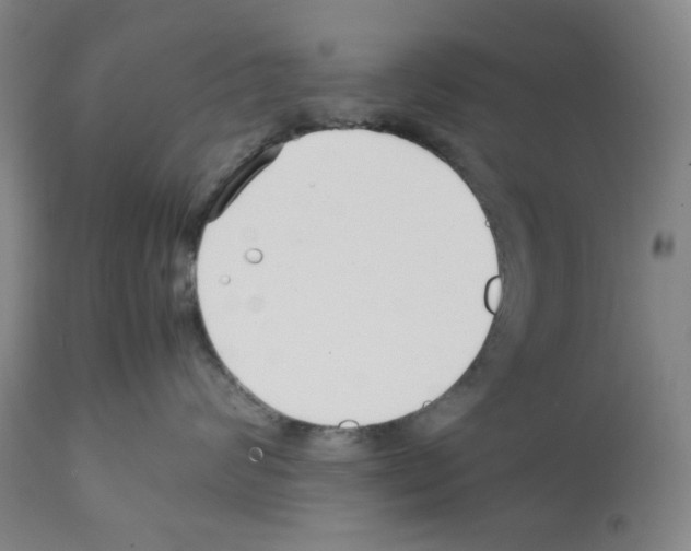 X0000112370624200909241151