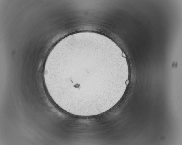 X0000112370625200909241150