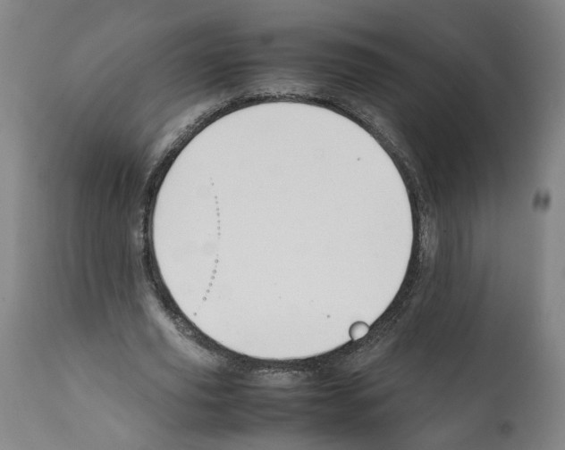 X0000112370629200909241150