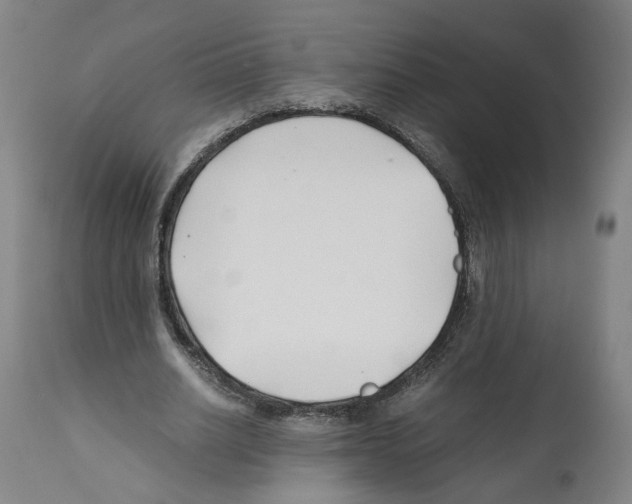 X0000112370630200909241150