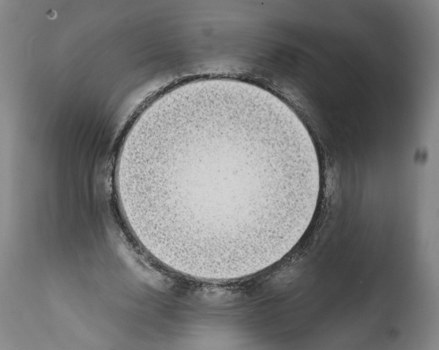 X0000112370632200909241150