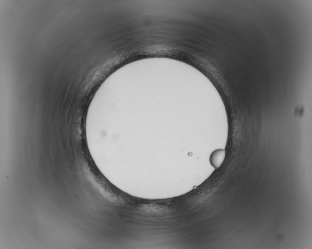 X0000112370633200909241150
