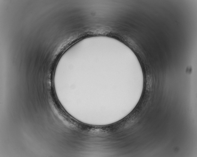 X0000112370634200909241150