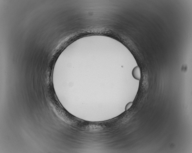 X0000112370636200909241150