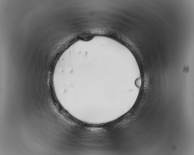 X0000112370637200909241150