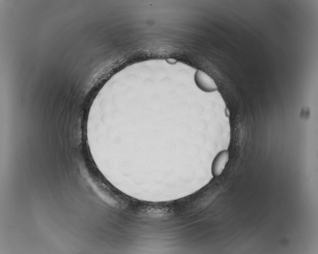 X0000112370638200909241150