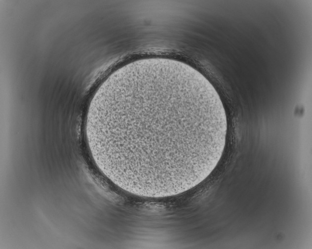 X0000112370640200909241150