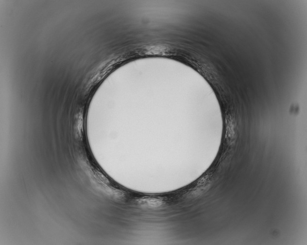 X0000112370648200909241151