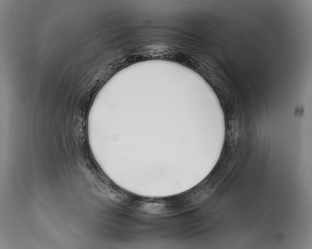 X0000112370653200909241151