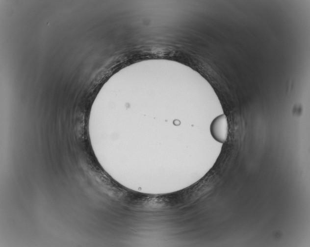 X0000112370656200909241151