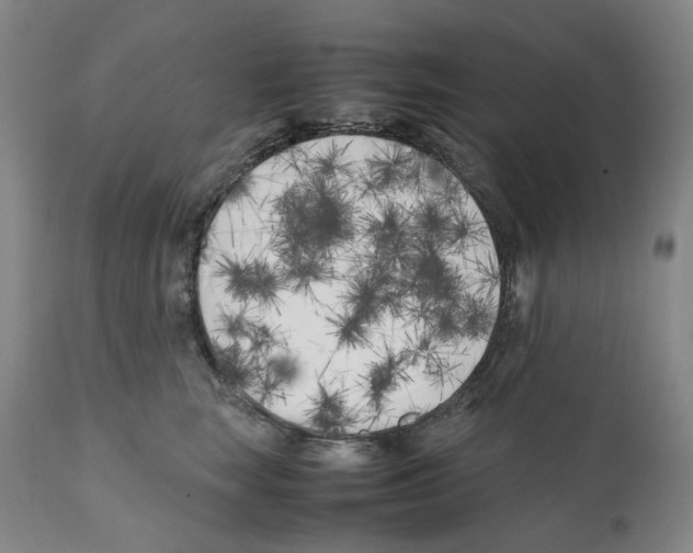 X0000112370663200909241151