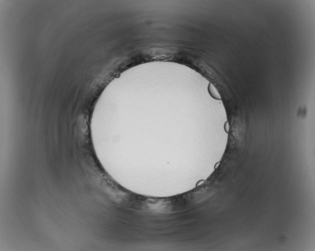 X0000112370667200909241151