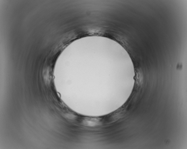 X0000112370671200909241151