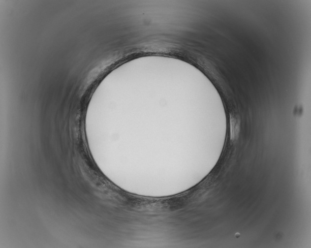 X0000112370675200909241150