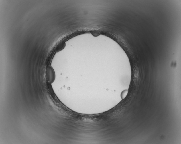 X0000112370684200909241150
