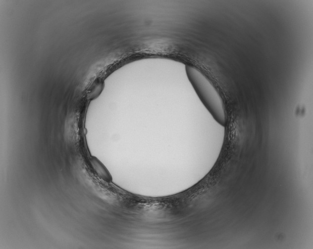 X0000112370688200909241150