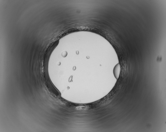 X0000112370700200909241150