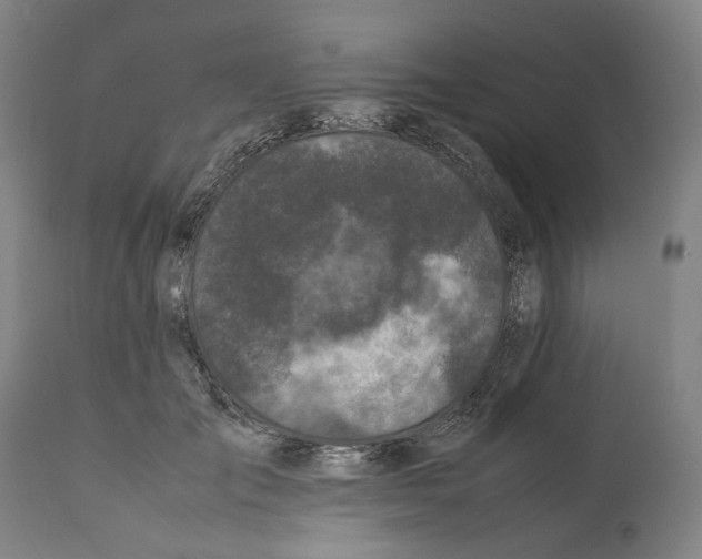 X0000112370701200909241150