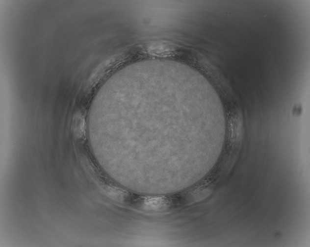 X0000112370705200909241150