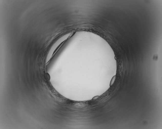X0000112370708200909241150