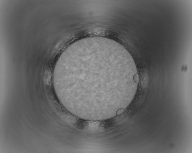 X0000112370709200909241150