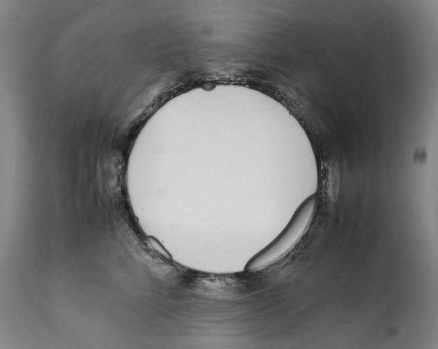 X0000112370712200909241150