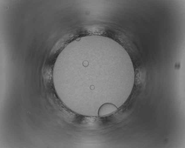 X0000112370713200909241150
