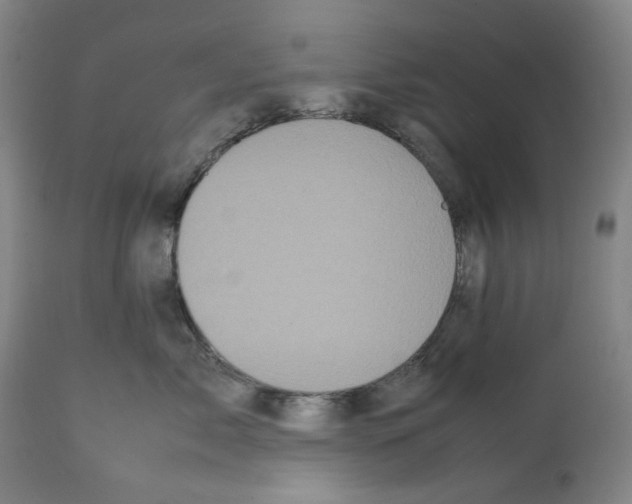 X0000112370717200909241150