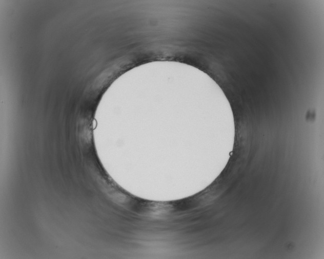 X0000112370719200909241150
