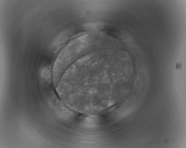 X0000112370720200909241150