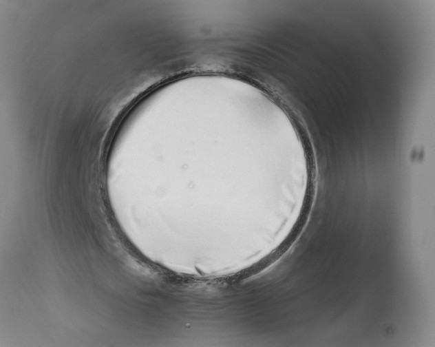 X0000112370721200909241149