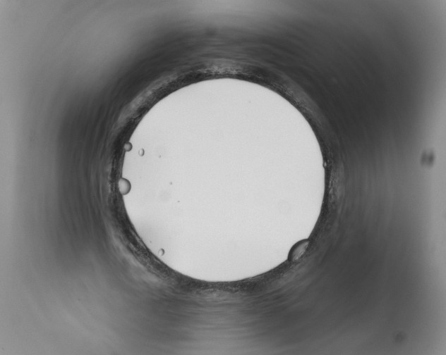 X0000112370722200909241149