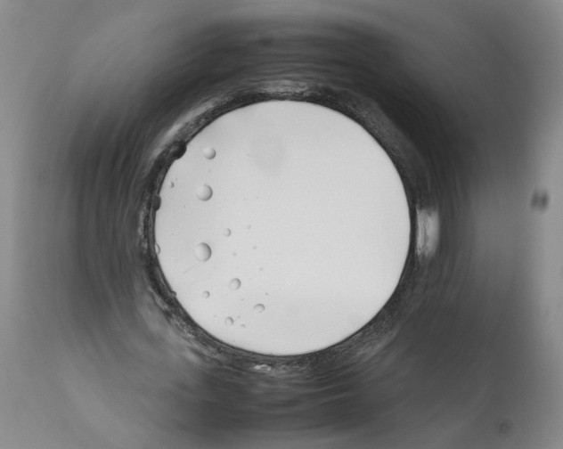 X0000112370723200909241149